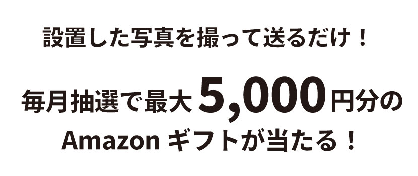 毎月最大5000円分のAmazonギフトコードをプレゼント