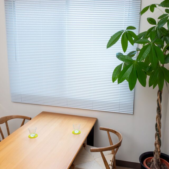 \✨理想のホワイトルームに/ 
 
˗ˏˋ #イージーブラインドのアルミブラインド ˎˊ˗ 
 
お部屋の雰囲気をガラリと変えるなら、 窓辺のブラインドから 
 
\「でも、ブラインドって高いんでしょ…？」/ 
 
そんなあなたに朗報です 
 
イージーブラインドは、 ˗ˏˋ 高品質なのに驚きの低価格 ˎˊ˗ 
 
カラーバリエーションは厳選された ˗ˏˋ ホワイトとグレーのみˎˊ˗ 
 
だから、お部屋に馴染む色が きっと見つかるはず️ 
 
˗ˏˋ 取り付けも簡単だから、 
DIY初心者さんにもおすすめˎˊ˗ 
 
あなたもイージーブラインドで、 理想のホワイトルームを叶えませんか？ 
 
#イージーブラインド #ブラインド #ホワイトインテリア #韓国インテリア #淡色インテリア #一人暮らし女子 #模様替え #diy女子 #インテリアショップ #interior