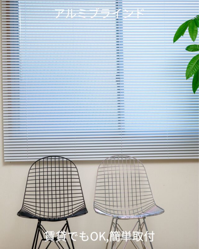 ＼人気No.1カラー／
ホワイトのアルミブラインドをご紹介します🪟✨

シンプルでどんなお部屋にもなじむホワイト。
当店のホワイトブラインドはセミマット加工仕上げで、
テカリが少なく上品な印象に仕上がります。

取り付けはとても簡単！
カーテンレールに取付も可能です。

さらに、1cm単位でサイズオーダー可能なので、
既製品では合わない窓にもぴったりフィット🧷
国内で丁寧に検品・加工し、安心のサポート体制でお届けしています。

📝実際に設置していただいたお写真も、
#イージーブラインド のハッシュタグで募集中📸
素敵な投稿は当アカウントでもご紹介させていただくことがあります！

お部屋を明るく、シンプルに。
ブラインドのある暮らし、始めてみませんか？

#イージーブラインド
#ホワイトブラインドのある暮らし
#ブラインド専門店
#1cm単位でオーダー可能
#カーテンレールに簡単取付
#賃貸OKインテリア
#セミマットブラインド
#シンプルモダンインテリア
#我が家の窓まわり
#光と暮らす部屋