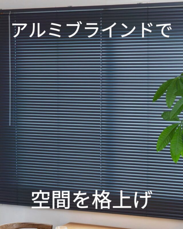 ＼高見え×グレーで、空間を格上げ／ 
落ち着いた印象のスレートグレーのアルミブラインドは、 
モノトーンやインダストリアル、ナチュラルモダンなど、 
さまざまなインテリアにマッチする万能カラーです。 
 
ブラインド全体にはセミマット加工を施し、 
光を適度に抑えながらも、上品な質感を演出。 
「プチプラなのに高見え」と、男女問わず人気のカラーです✨ 
 
さらに、1cm単位でオーダー可能なので、 
窓枠にぴったりフィットして仕上がりもすっきり。 
カーテンレールにも取り付けできるため、 
賃貸にも安心して導入できます🔧 
 
🪟お客様の設置例も、#イージーブラインド のタグで募集中！ 
素敵な投稿は公式アカウントでご紹介させていただくこともございます📸 
 
グレーが主役のインテリア、はじめてみませんか？ 

#ブラインド #アルミブラインド #インテリア #北欧インテリア #マイホーム #マイホーム記録 #引っ越し #リノベーションインテリア #部屋作り #インダストリアルインテリア #リビングインテリア #窓 #シンプルインテリア #暮らしの記録 #リフォーム #ナチュラルインテリア #一人暮らし #キッチン