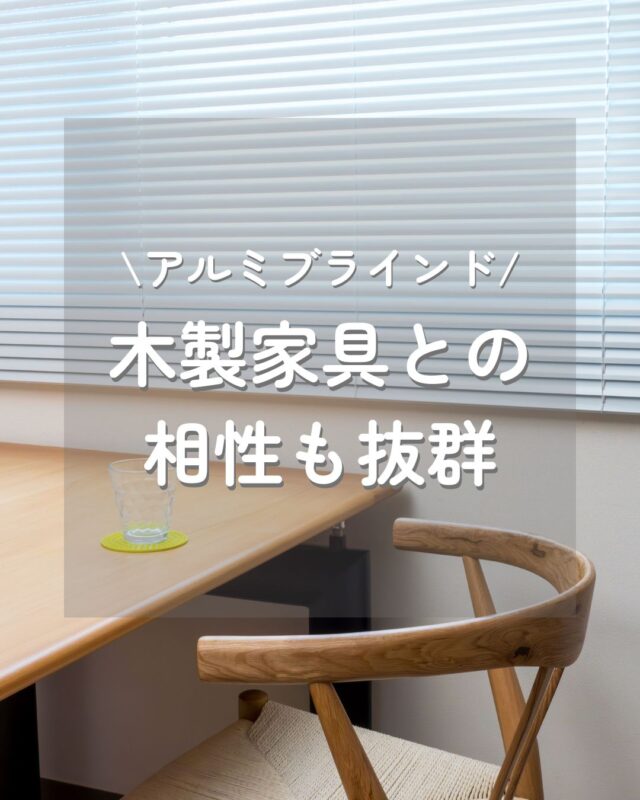 やわらかな夏の陽ざしと、白いブラインド。
木のぬくもりがやさしいダイニングに、
ホワイトのアルミブラインドがすっとなじみます🪟🌿

食事や家族の時間を、もっと明るく、もっと快適に。

木製家具との相性も抜群のホワイトブラインドは、
空間を軽やかに見せたい夏にぴったりのアイテムです。

カーテンレールに取り付けできるので、
賃貸でも安心、設置もかんたん◎
サイズも1cm単位でオーダー可能です🧷

📸 ただいま、お客様の設置写真を募集中！
#イージーブラインド のタグをつけて、
あなたのお部屋の「夏の光景」もぜひ見せてください☀️

#ブラインド #アルミブラインド #インテリア #北欧インテリア #マイホーム #マイホーム記録 #引っ越し #リノベーションインテリア #部屋作り #インダストリアルインテリア #リビングインテリア #窓 #シンプルインテリア #暮らしの記録 #リフォーム #ナチュラルインテリア #一人暮らし #キッチン
#我が家の夏のインテリア
#夏のインテリア
#ナチュラルダイニング
#木の家具がある暮らし
#窓辺のある風景